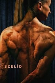 Szelíd tek parça izle